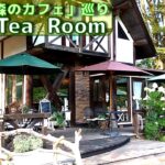 「東京の森のカフェ」巡り 四軒目≪Tea Room≫ 棚沢永子さん著作の掲載カフェをできる限り巡ってみます。
