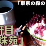 「東京の森のカフェ」巡り 六軒目≪曼珠苑≫ 棚沢永子さん著作の掲載カフェをできる限り巡ってみます。