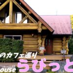 「東京の森のカフェ」巡り 九軒目≪COFFEE HOUSE らびっと≫ 棚沢永子さん著作の掲載カフェをできる限り巡ってみます。