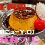 大阪・梅田【喫茶店ニューY.C】YC特製プリン