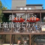 鎌倉Vlog 長谷の紅葉とカフェ巡り｜m’s terrace｜ToBoRu coffee｜ハセロジ｜2021年11月20日 KAMAKURA DIARY Vlog #89