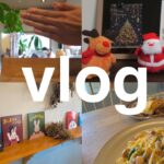 【vlog】最高の雰囲気の中でランチ｜新潟カフェ｜カフェ巡り