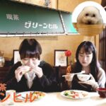 【神戸北野で純喫茶歴50年】喫茶グリーンヒル