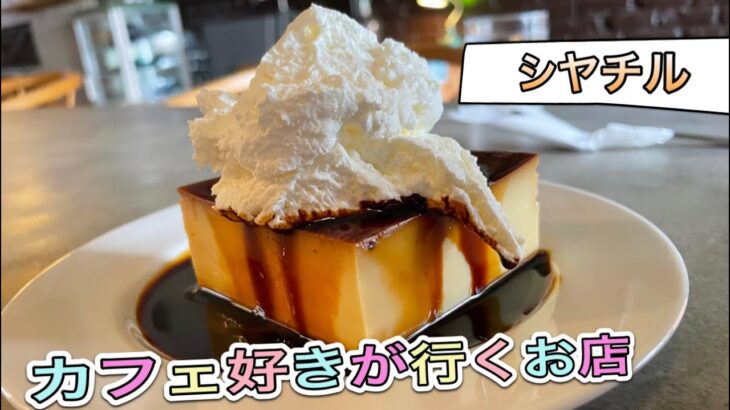 愛知【名古屋モーニング】絶品！モーニングからの濃厚プリン！シヤチル　【Aichi Nagoya morning cafe pudding food】