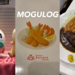 【vlog#54】(KOR sub)笹塚の喫茶店でハムチーズトースト、どでかメンチカツ、キンパにヤンニョムチキンバーガー