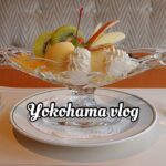 【vlog#55】季節外れの横浜カフェ・喫茶店巡り(KOR sub)
