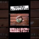 【京都カフェ】MINORI工房│ジェラート│デザート│カフェ巡り【vlog】