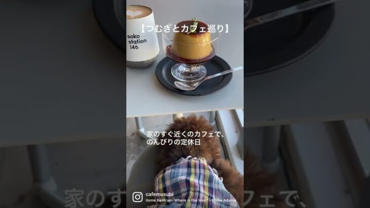 【つむぎとのんびりカフェ巡り】