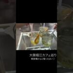 大阪堀江カフェ巡り　#shorts