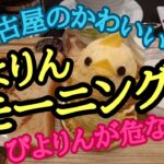 🐤名古屋のかわいい💕ぴよりんモーニング☕ぴよりんが危ない⁉️🥶