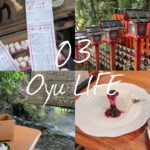 夏の思い出🌿京都神社巡り⛩川床でランチに純喫茶☕️夏の京都を満喫🎐