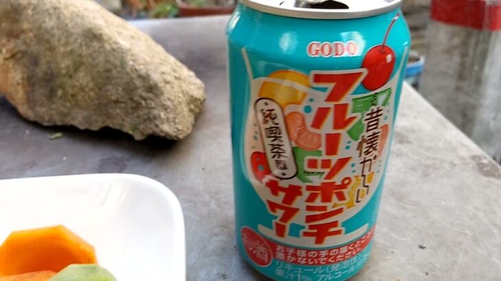 純喫茶風 昔懐かしい フルーツポンチサワー