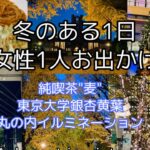 冬のある一日　純喫茶”麦” のナポリタンが絶品でした　時期を過ぎた東京大学銀杏黄葉　丸の内イルミネーション　時間がありすぎて持て余す無職女性の葛藤について