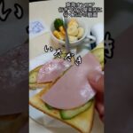 東海オンエアが常連の喫茶店でモーニング食うだけの動画　#東海オンエア #東海オンエア聖地巡礼　#岡崎　#モーニング　#喫茶店