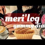 【vlog】ぽっちゃりアラサーの美味しい日常|銀座カフェ|汐留 41階で夜景を見ながら焼肉🍖|teamLab TOKYO|モッパン