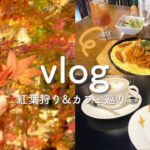 【vlog】紅葉狩り&カフェ巡りDay🍁曹源寺/ライトアップ/喫茶店/カフェ巡り☕🍂