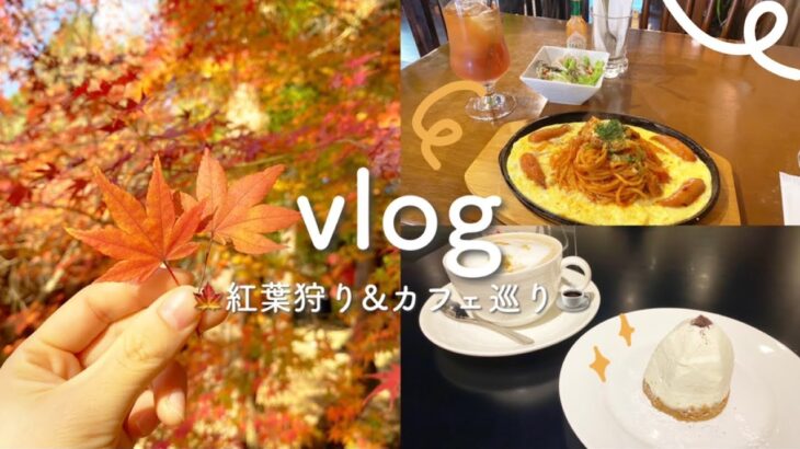 【vlog】紅葉狩り&カフェ巡りDay🍁曹源寺/ライトアップ/喫茶店/カフェ巡り☕🍂