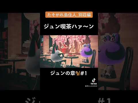 【あつ森/ハピパラ】ジュンくんの純喫茶//Retro Cafe Cabin//Animal Crossing Happy Home Paradise #shorts