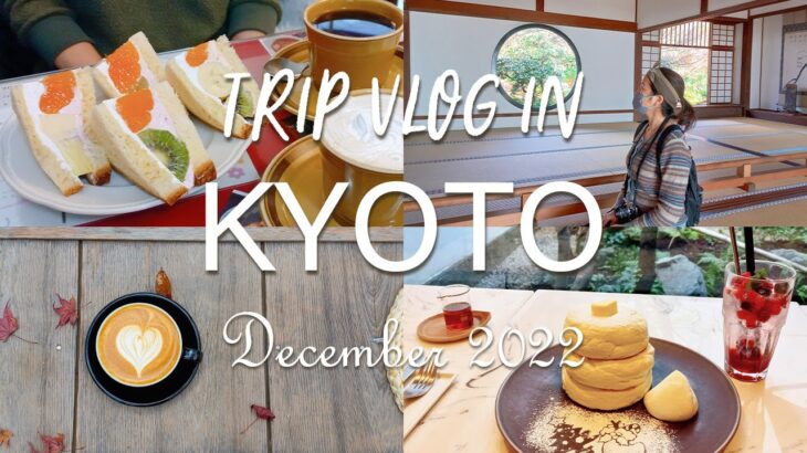 【Kyoto Vlog #10】ほぼ日曜だけ営業している喫茶店に行きました☕ 교토여행 브이로그