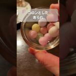 アンティークが輝く老舗の喫茶店