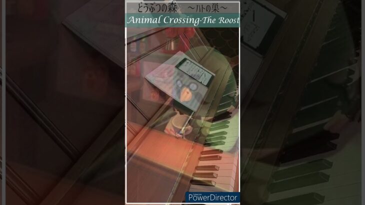 The Roost – Animal Crossing – piano cover /  純喫茶ハトの巣 どうぶつの森 ピアノ カバー  #shorts