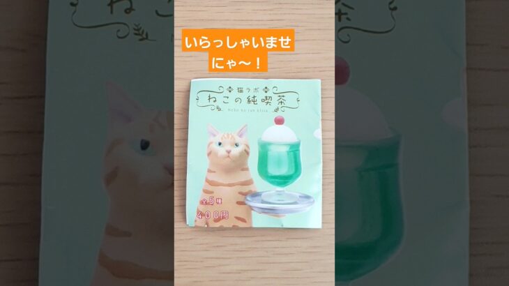 【ねこの純喫茶】ガチャ、開けてみた【#shorts】【#ガチャガチャ】【#カプセルトイ】