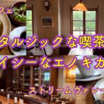 【千葉カフェ】ストリームヴァレー｜ノスタルジックな純喫茶のエノキカレー【柏市】