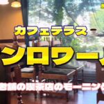 熊本グルメ36  水前寺　カフェテラス☕️サンロワール✨老舗の喫茶店のモーニング✨