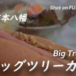 【喫茶店】JR本八幡駅北口の喫煙目的店ビッグツリーカフェでモーニングドッグ Had a breakfast at Big Tree Cafe for smokers at Motoyawata