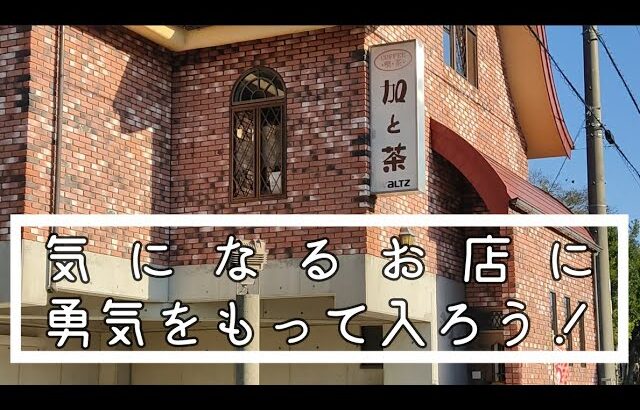 加と茶「ロイヤルミルクティーとモーニングサービス」【愛知県田原市田原町北新井の喫茶店】