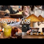 名古屋vlog：1泊2日で爆食ツアー🪄(cr🇰🇷)40円の焼き鳥!?/喫茶店モーニング/味噌カツ/矢場とん！むさし/ステーキ/フレンチトースト/クレープ…