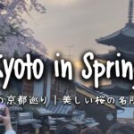 Travel vlog：春の京都巡り｜美しい桜の名所、絶景、喫茶店巡り｜京都＆大阪旅行。