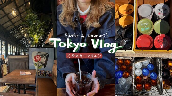 〈東京散策Vlog〉恵比寿・代官山/食器屋/喫茶店/雑貨屋/カフェ