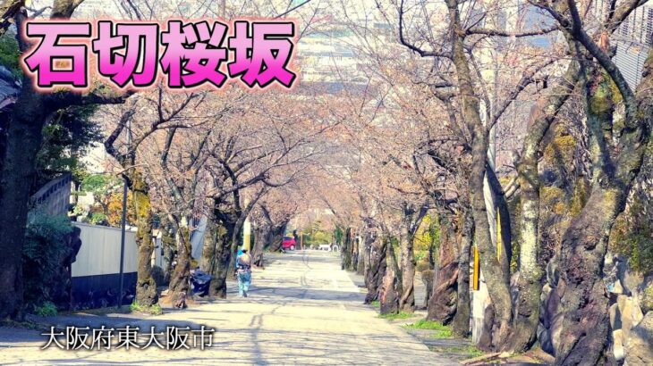 【桜坂】本格珈琲のモーニングと桜坂【名所】