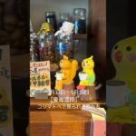 【岡崎の喫茶店コジマトペの愛鳥週間】#岡崎カフェ　#岡崎喫茶店　#岡崎モーニング　#岡崎ランチ　#岡崎コーヒー #ハシビロコウ　#バードウォッチング　#愛鳥週間　#バードウィーク