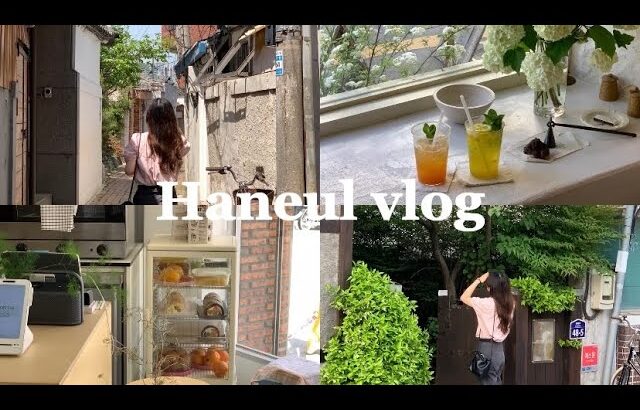 vlog#39 | 韓国生活| 大邱旅行| カフェ巡り|食べまくり|大邱名物を食べる|