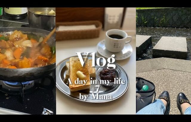 【双極性障害Vlog】カフェでモーニング|プチプラ購入品|社会復帰と挫折