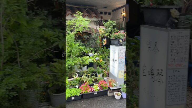 植物いっぱいの喫茶店🪴