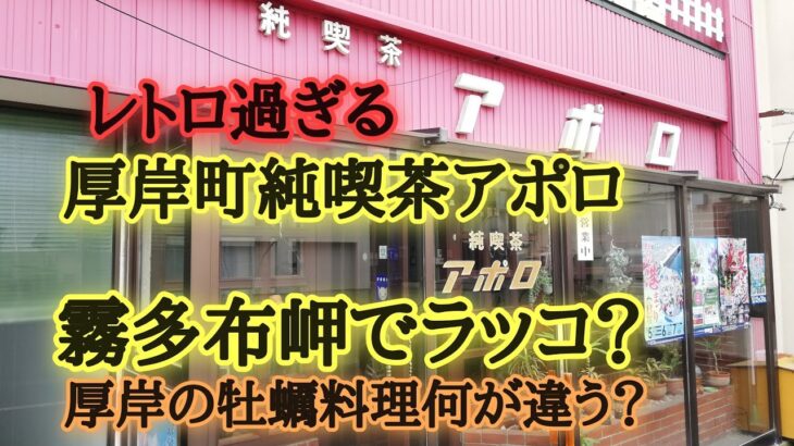 厚岸町純喫茶アポロ、浜中町ラッコ現る？