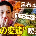 【呂布カルマ】生きたコケを操る!? “色の変態”喫茶店【片っ端から喫茶店】