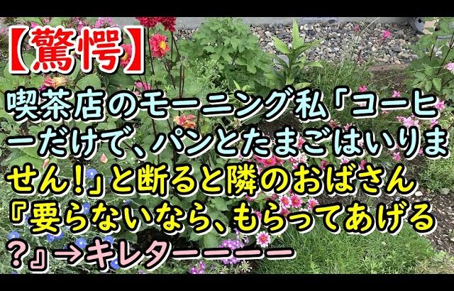 【驚愕】喫茶店のモーニング私「コーヒーだけで、パンとたまごはいりません！」と断ると隣のおばさん『要らないなら、もらってあげる‼』→キレターーーー【痛快・スカッとジャパン!】