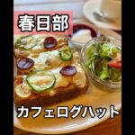 【埼玉グルメ】春日部/ピザトーストが美味しい長閑なカフェモーニング