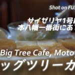 【喫茶店】JR本八幡駅北口のビッグツリーカフェでモーニングドッグ Had a breakfast at Big Tree Cafe for smokers in Motoyawata 【喫煙可】