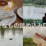 【純喫茶とお菓子と公園】VLOG | 水元公園 | 焼き菓子屋さん | デジカメ