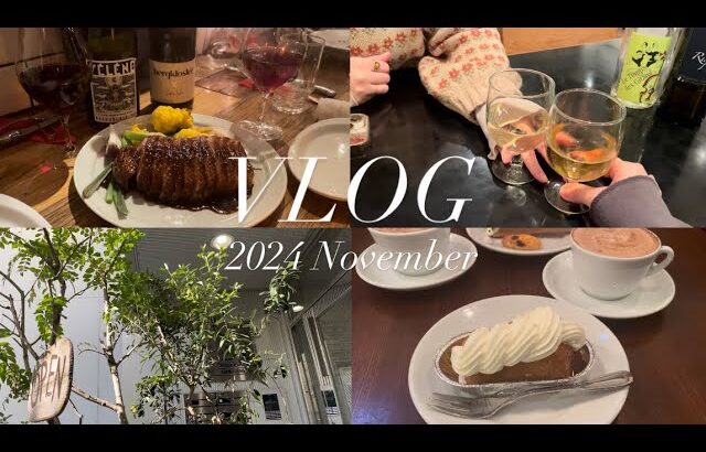 【vlog】食費かけすぎた社会人の休日🥣東京カフェ巡り☕️東京ビストロ🍷