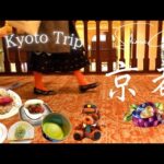 【京都Trip】老舗とカフェと雑貨屋巡り｜日帰り旅｜ホテルオークラ｜京都の朝食｜喫茶店｜京和菓子｜kyoto vlog ｜japan traditional foods