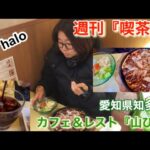 【喫茶店巡り】愛知県知多郡カフェ＆レスト『山びこ』思い出のお好み焼きに出会いました😋＃愛知県＃知多郡＃山びこ＃喫茶店＃お好み焼き＃焼きそば＃ケーキ＃マウンテンコーヒー＃コーヒー＃グルメ＃ランチ